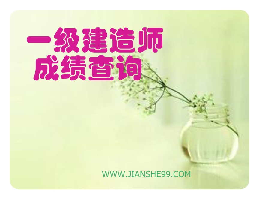 15一級(jí)建造師成績(jī)查詢(xún)		